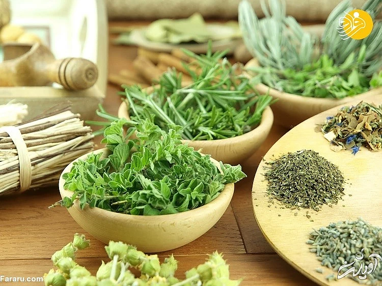 چگونه می‌توان قوای جنسی را تقویت کرد؟